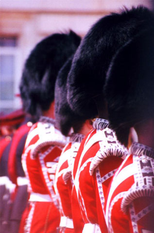 Side view of Black Bear fur hats of four Buckingham Palace Guard's Regiment.  