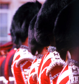 Side view of Black Bear fur hats of four Buckingham Palace Guard's Regiment. 