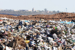 A pile of waste in an open-air dumpsite.