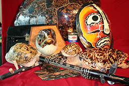 Various objects made from turtle anatomical parts: carapaces, naturalized turtles, scutes, turtle skin purse, turtle head on a wooden plaque.