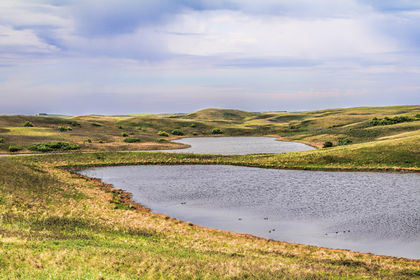 NCC scientist pens essay to save world’s most endangered ecosystem, grasslands