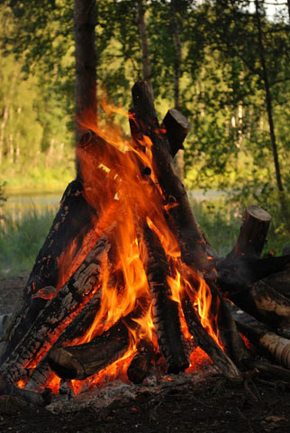 Close-up of a camp fire in a forest environment.