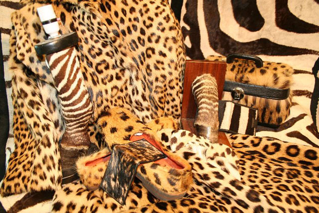 Objets fabriqués en peau de félin et de zèbre: sous-verres, valise, porte-monnaie, appui-livre, lampe, fourrure entière de léopard et de zèbre.