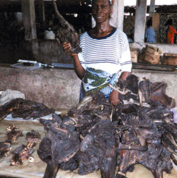 Une femme africaine se tient devant un comptoir où s'empilent des carcasses d'animaux destinées à la consommation.