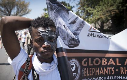Conservationists march in South Africa, other nations for rhinos, elephants