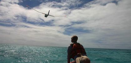 Smile, Hawaiian Wildlife: You're on Candid Camera