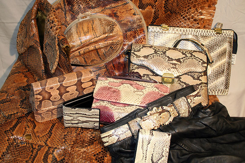 Objets fabriqués à partir de pièces anatomiques de serpents: peau de python, veston, sacs à main, portes-monnaie, ceinture.